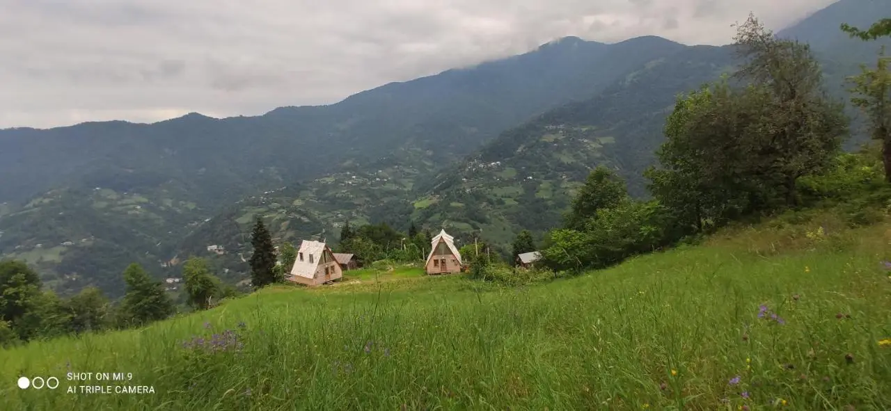 GREEN GUNDAURI