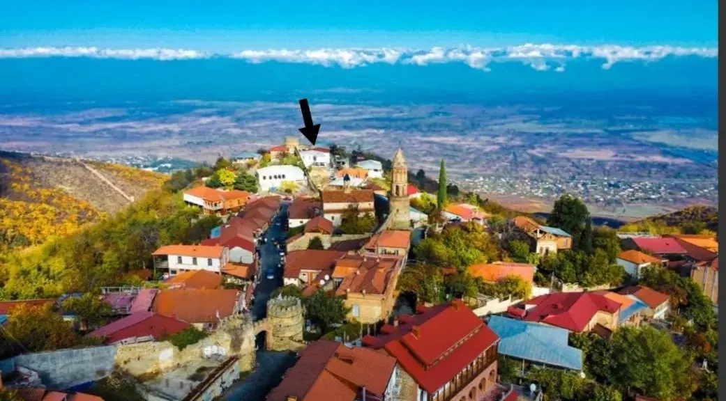 Guest House Alazani Valley