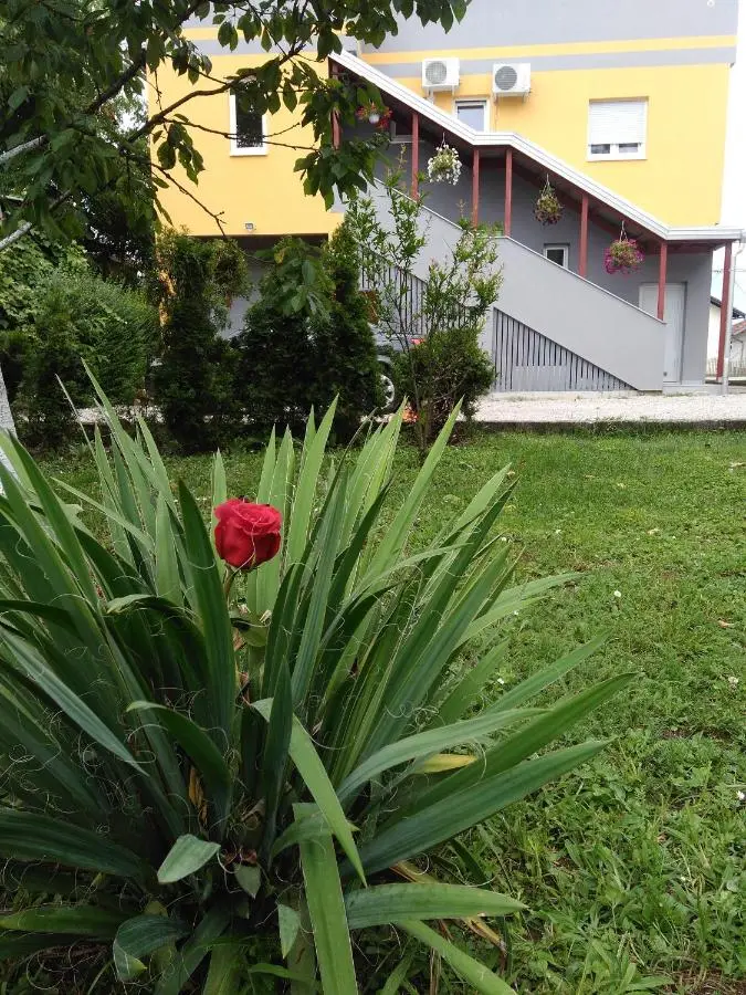 Apartmani Jasmina 2