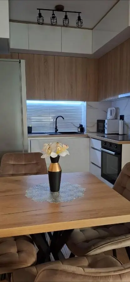Apartment Alina Istocno Sarajevo with private garage Lukavica