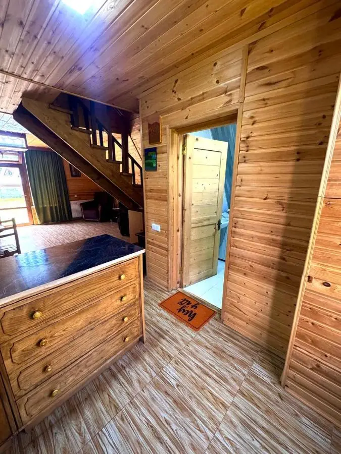 Forest hut