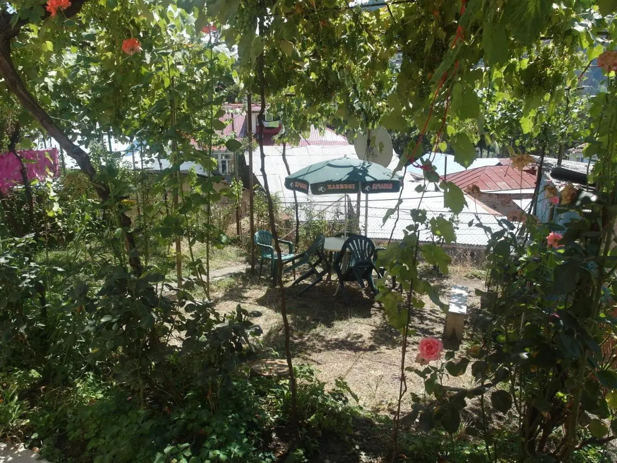 Villa Lazika