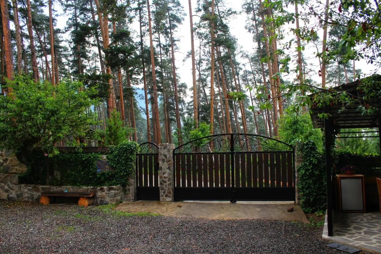Guest House on Meskheti