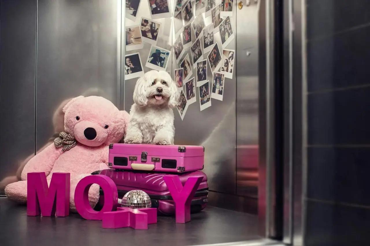 Moxy Tbilisi