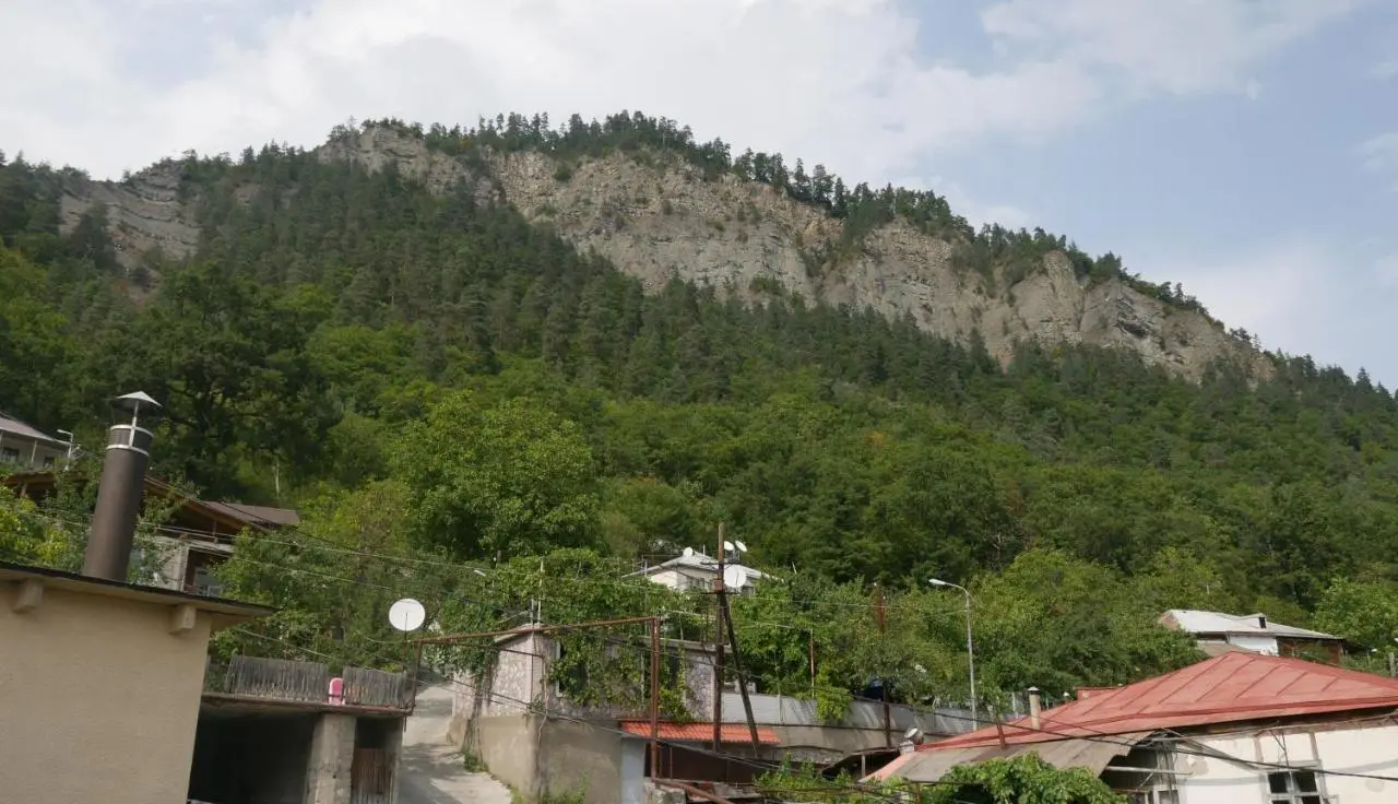 Luxury Apartment at Pirosmani 22 in central Borjomi