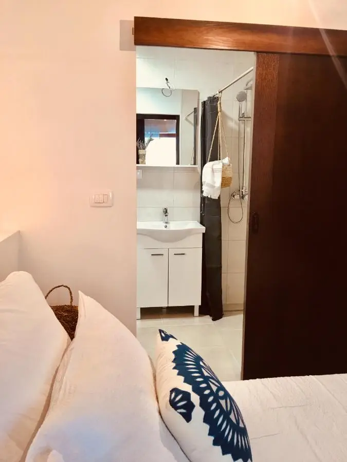 Palmera