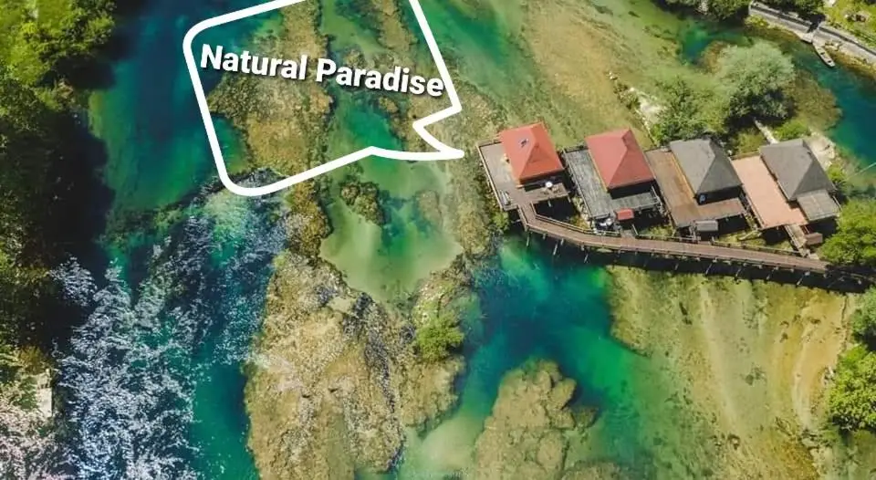 Natural Paradise