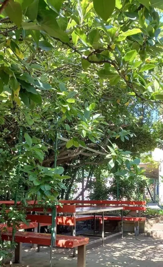 Guesthouse Hill Side