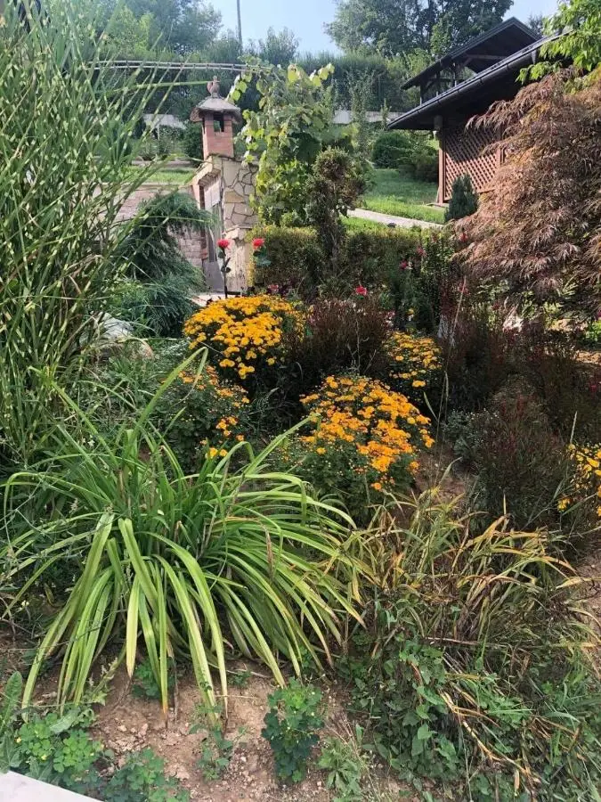 Villa Elma