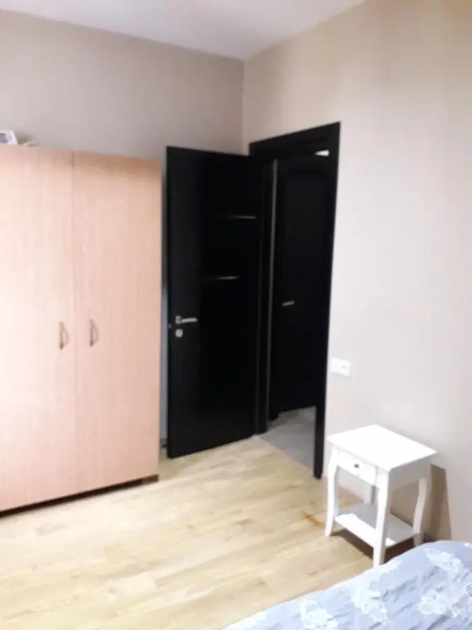 Apartment on Rustaveli