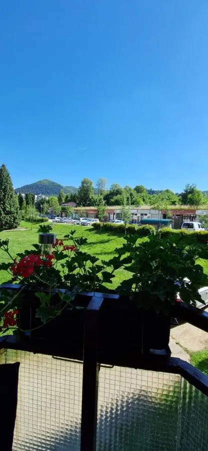 VIEW APARTMENT