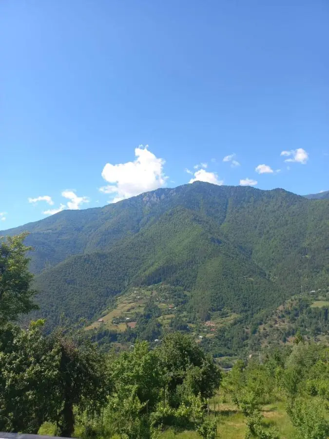 Paradise Keda