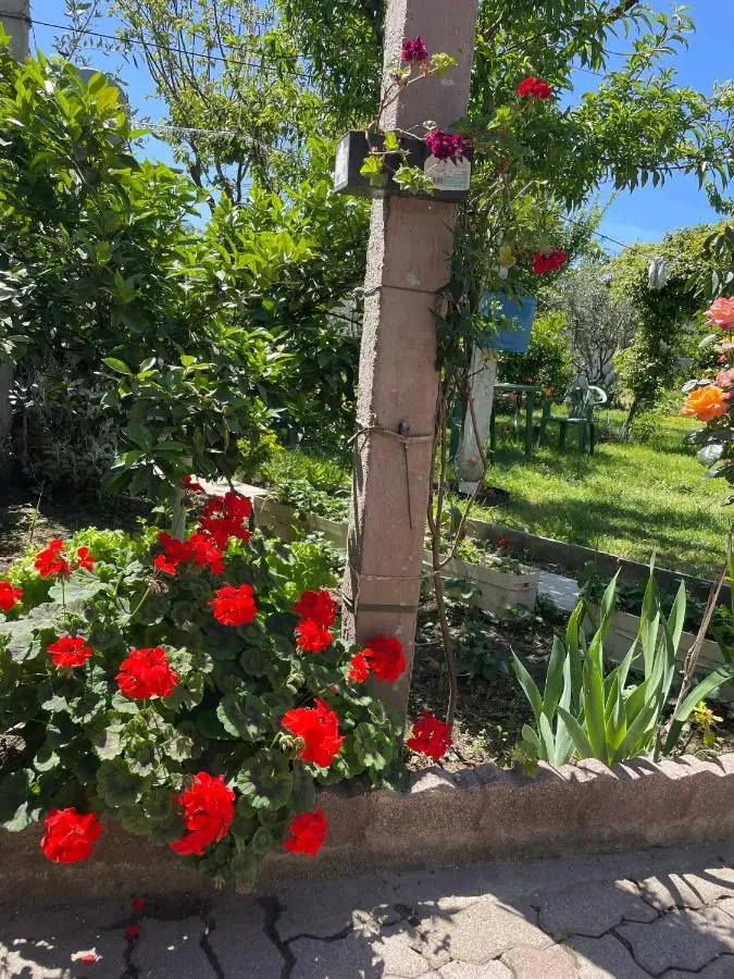Guest House Miracle Garden