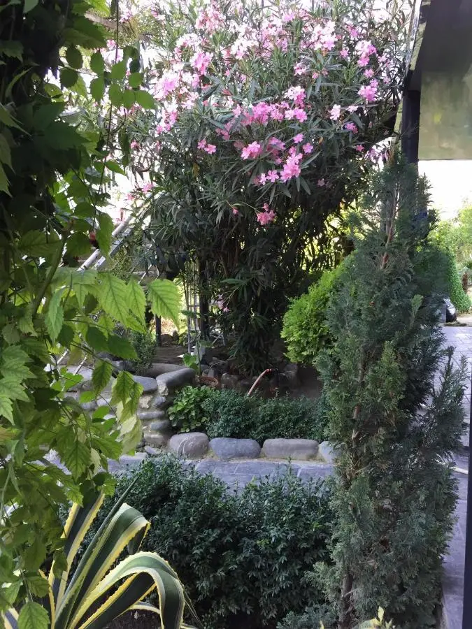 garden and panorama