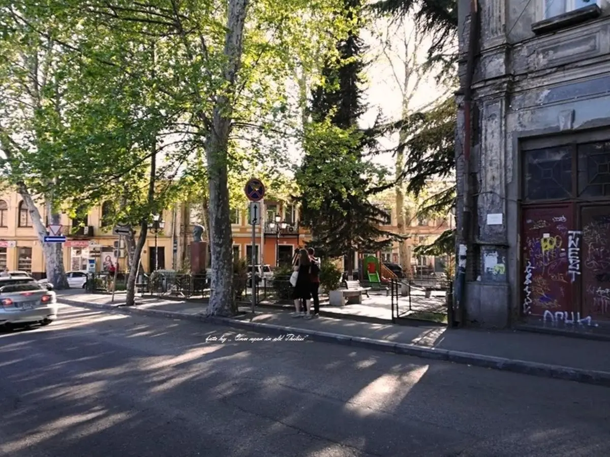birdhome in Tbilisi (Maria)