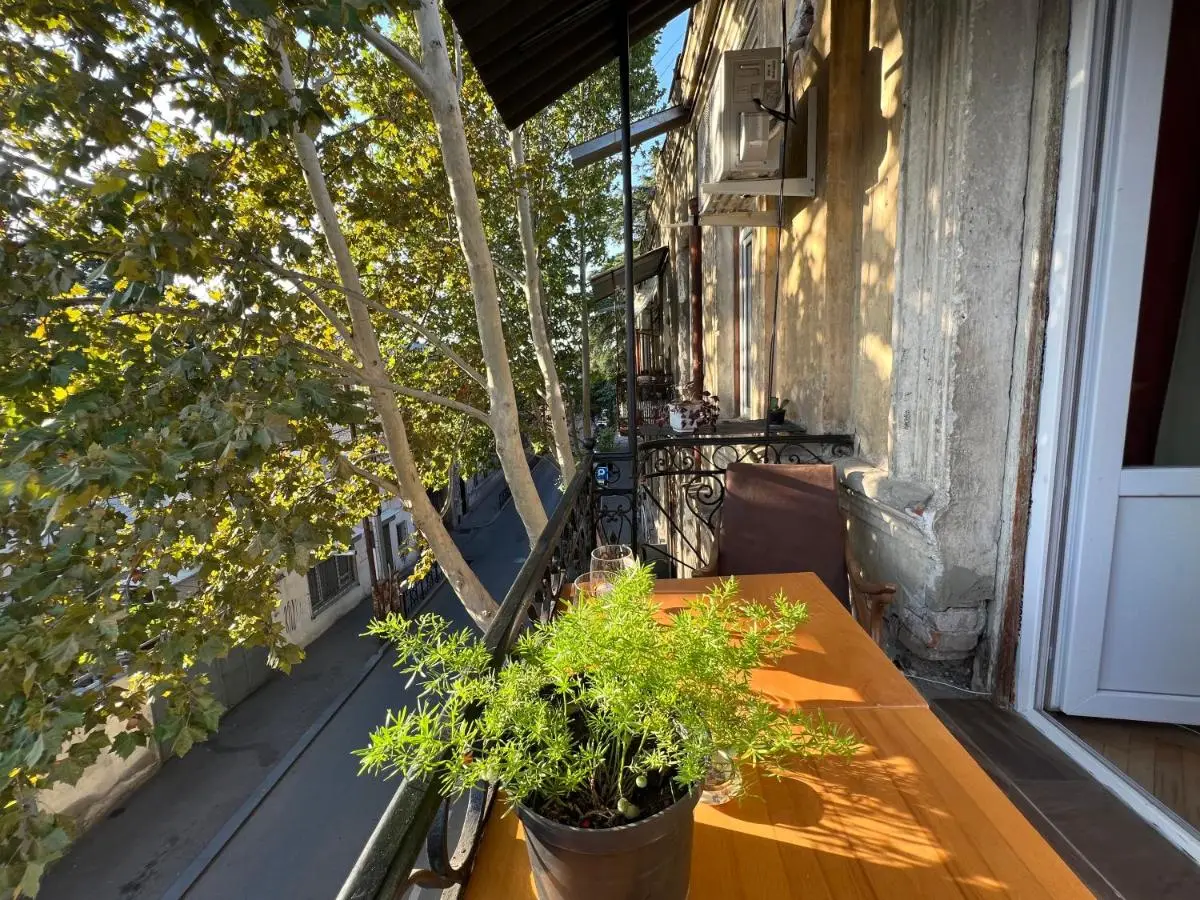 Lola Apartments TBS