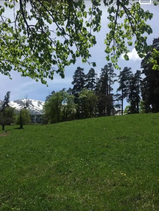 Hillside Bakuriani