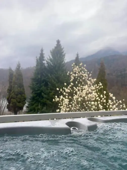 WOLF'S PLANE Luxury Isolated Mountain House for Digital Nomads