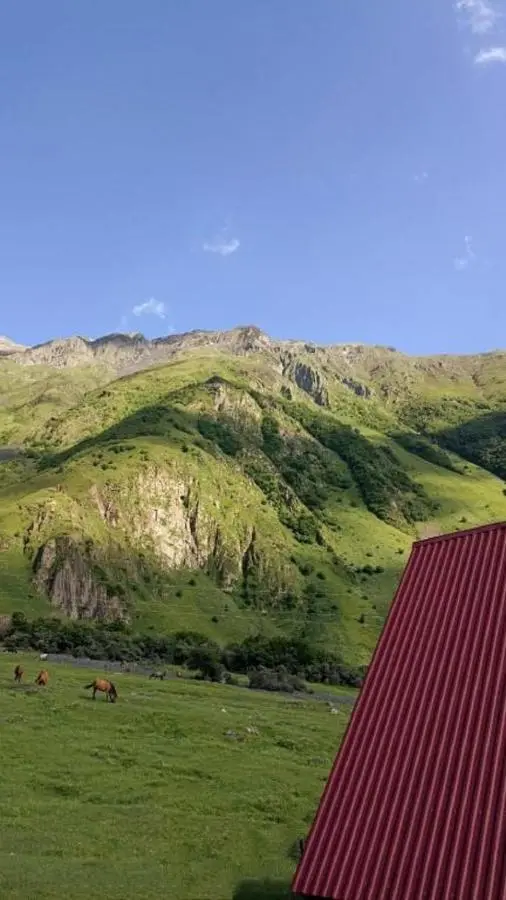 Mountain flower cottage