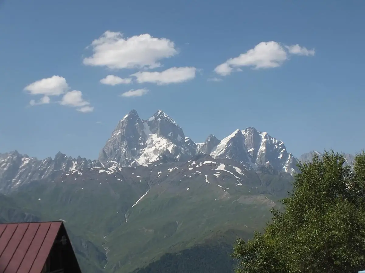 Gogi Jafaridze's Guesthouse