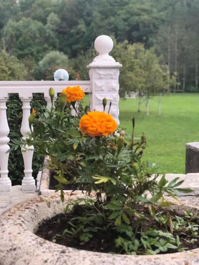 Saraj Guest House