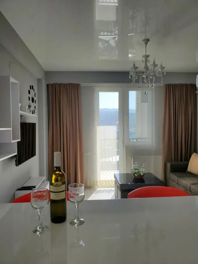 Cozy 1-bedroom unit in Tbilisi, with amazing view