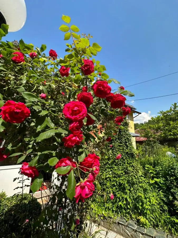 Beautiful House Overlooking Sarajevo