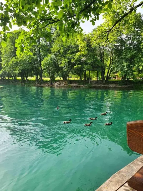 River home - Villa Sara