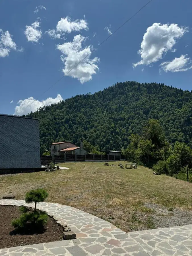 Borjomi Cottage Sadgeri