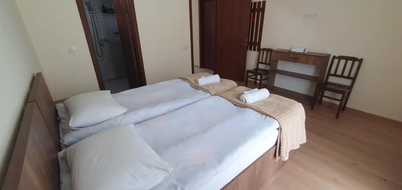Elnetsa Inn Kazbegi