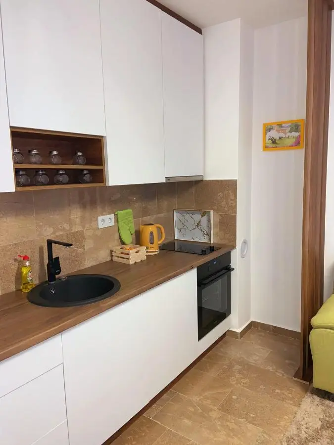 Apartment Aria