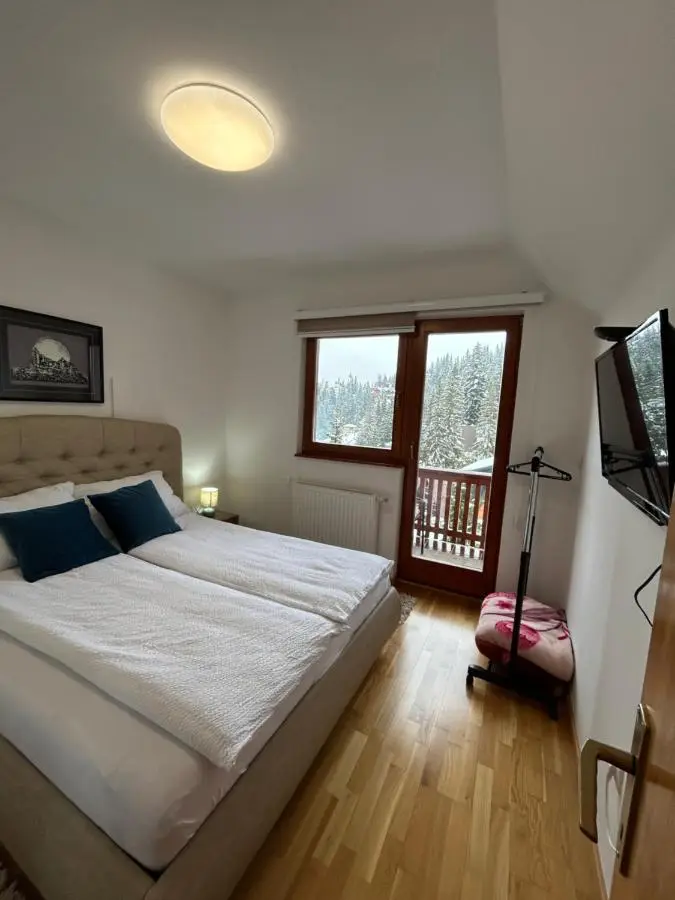 Montis Vlasic Apartment 1