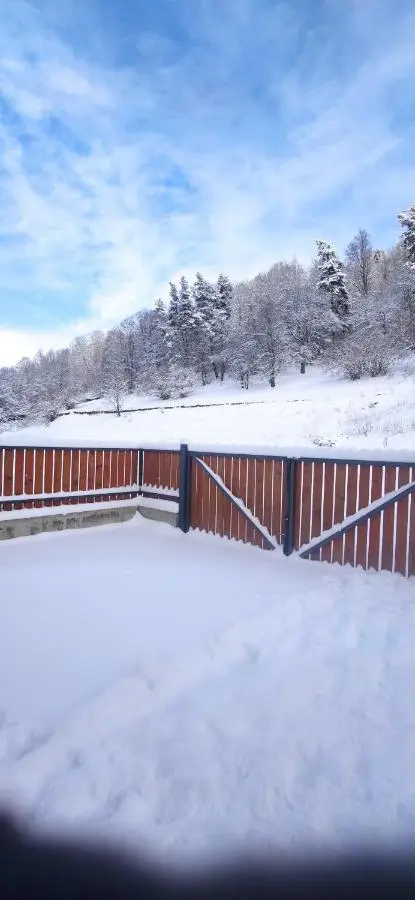 Villa Bayern in Bakuriani