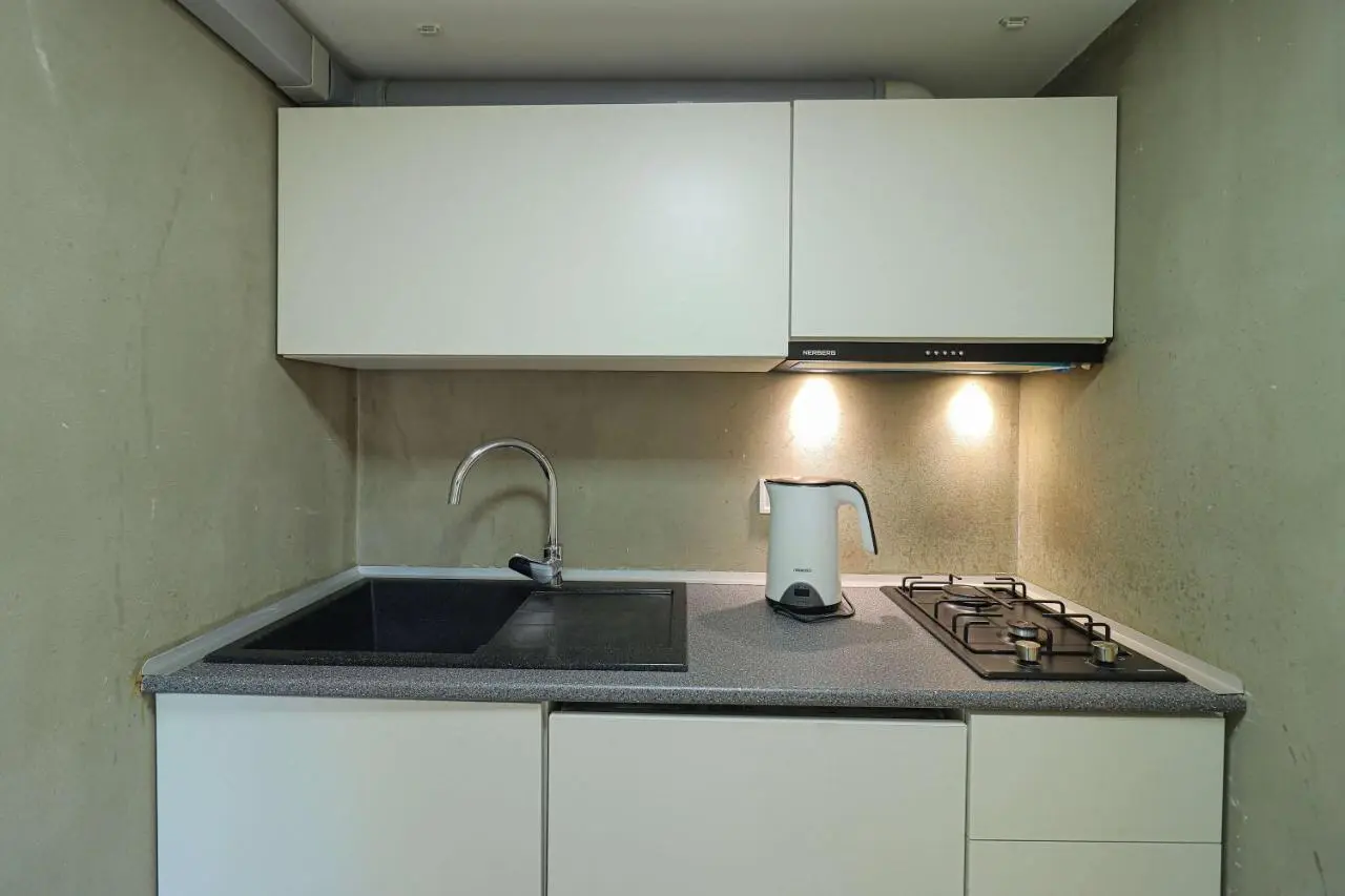 Stylish Apartment on Rustaveli Avenue