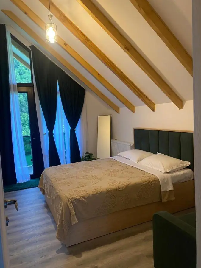 MTA house - Borjomi