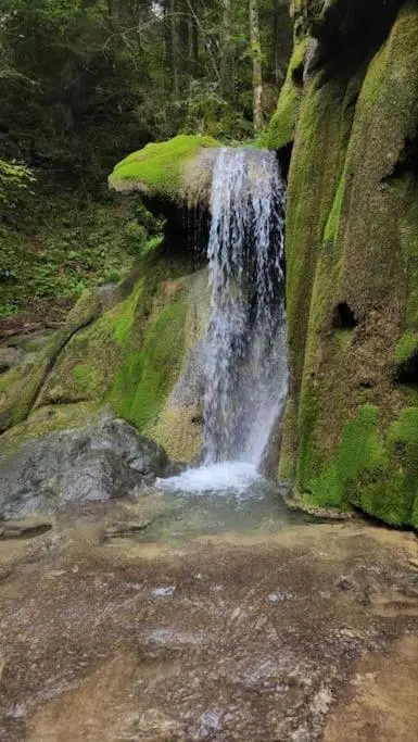 Koliba Ravna planina