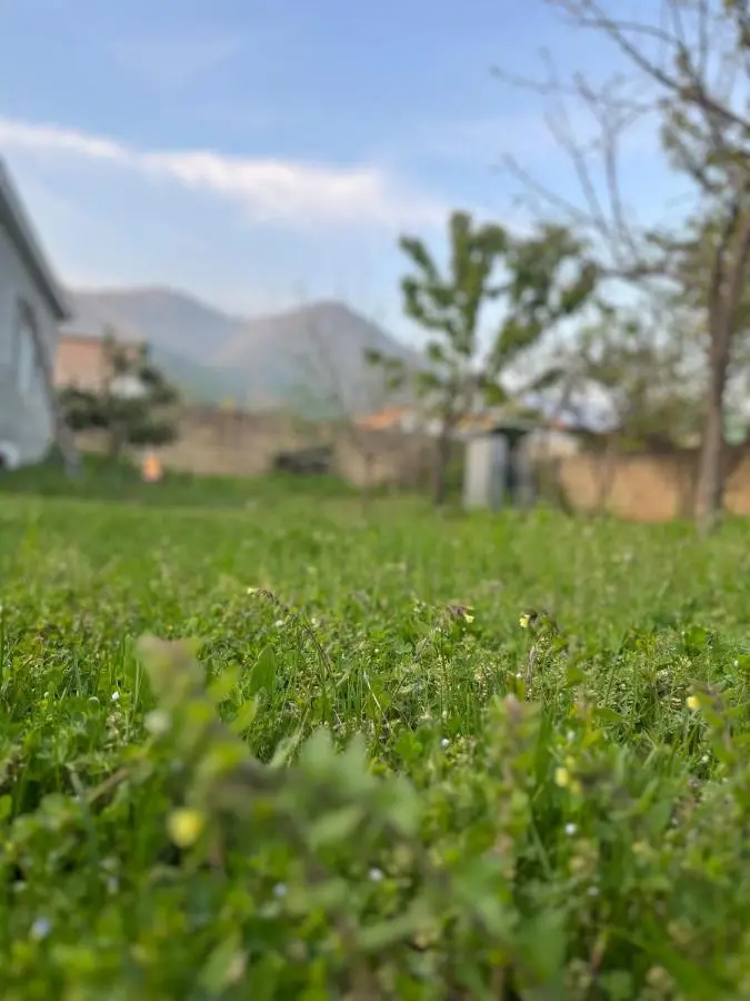 Gabala Home