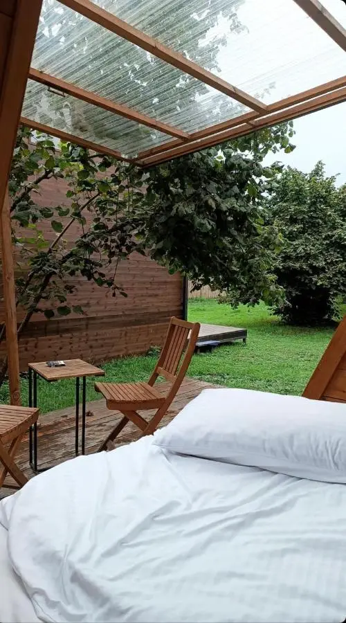 Dumbo Eco Camp