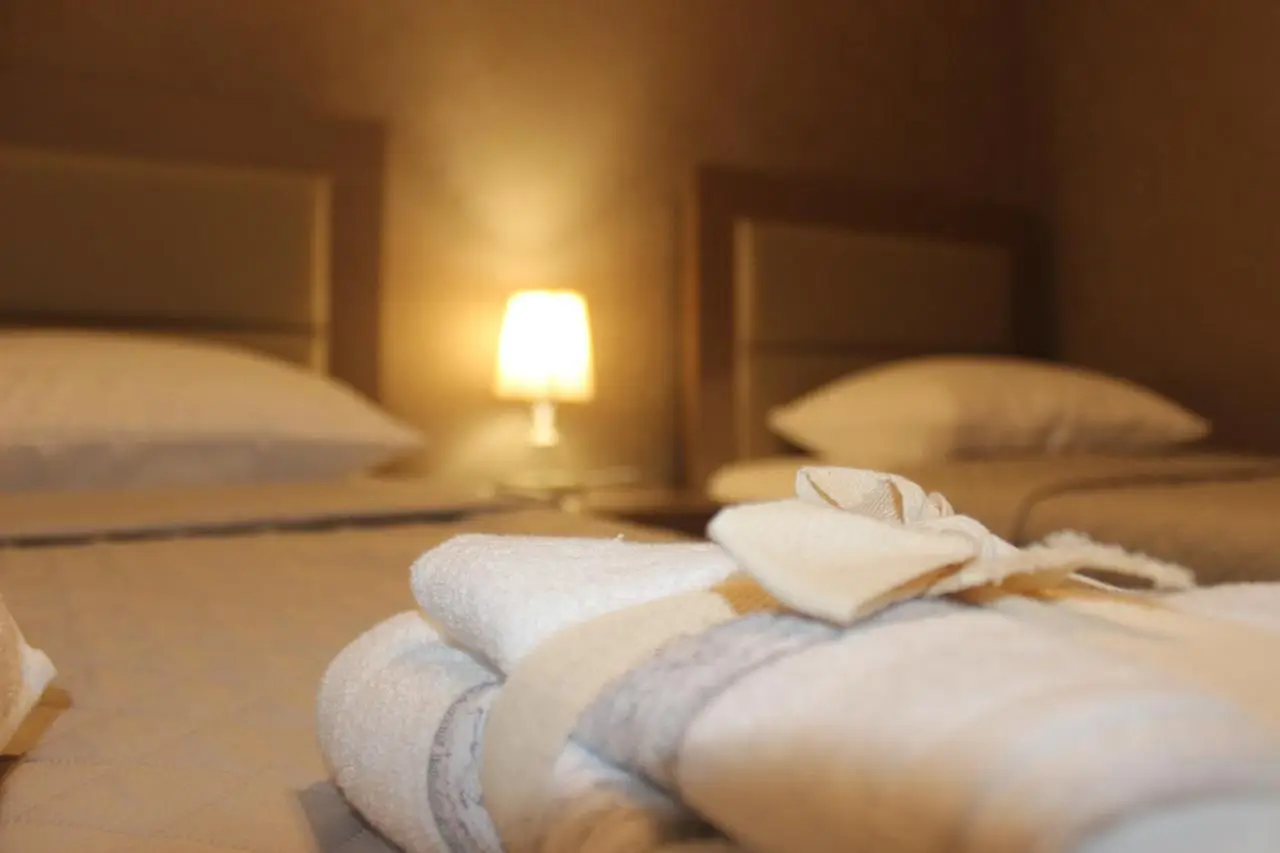 Hotel Tarasa