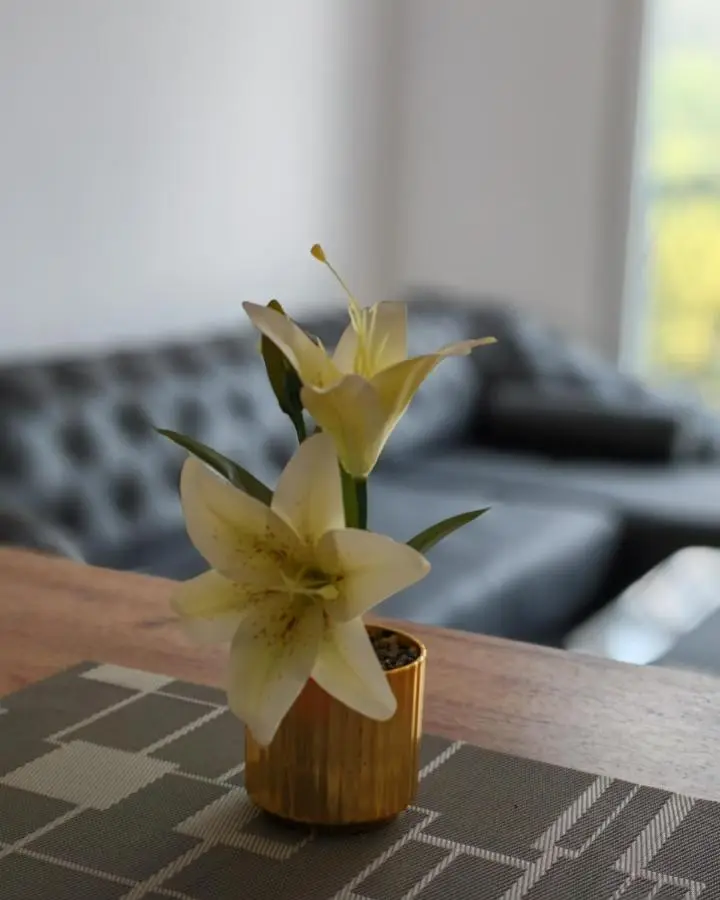 Apartman Nermin