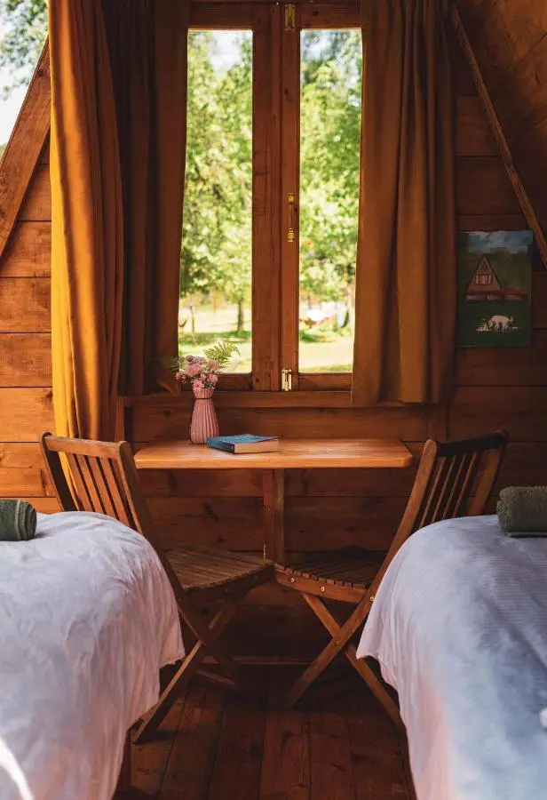 Dumbo Eco Camp