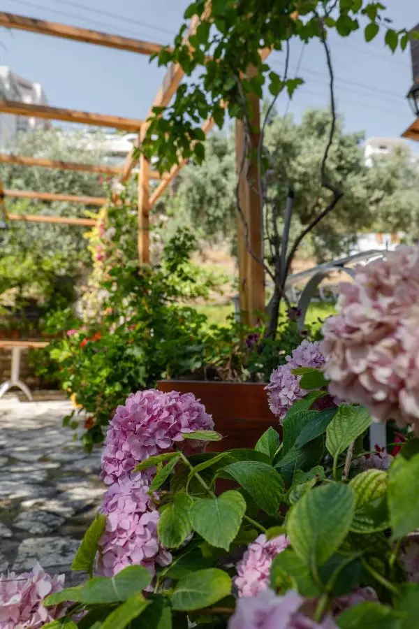 Villa Green Garden