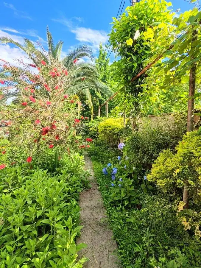 Villa Jakos Paradise