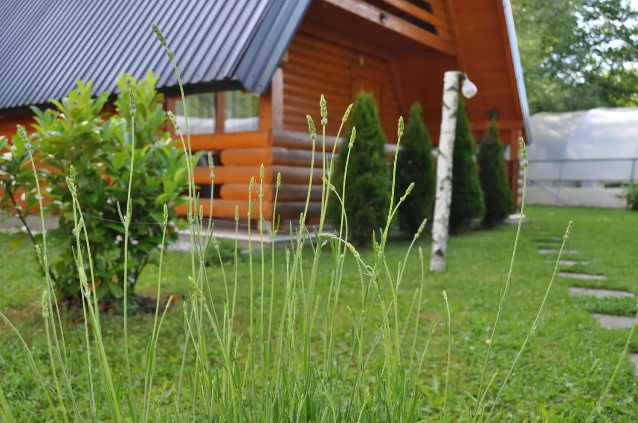 Nadiaa Wood House