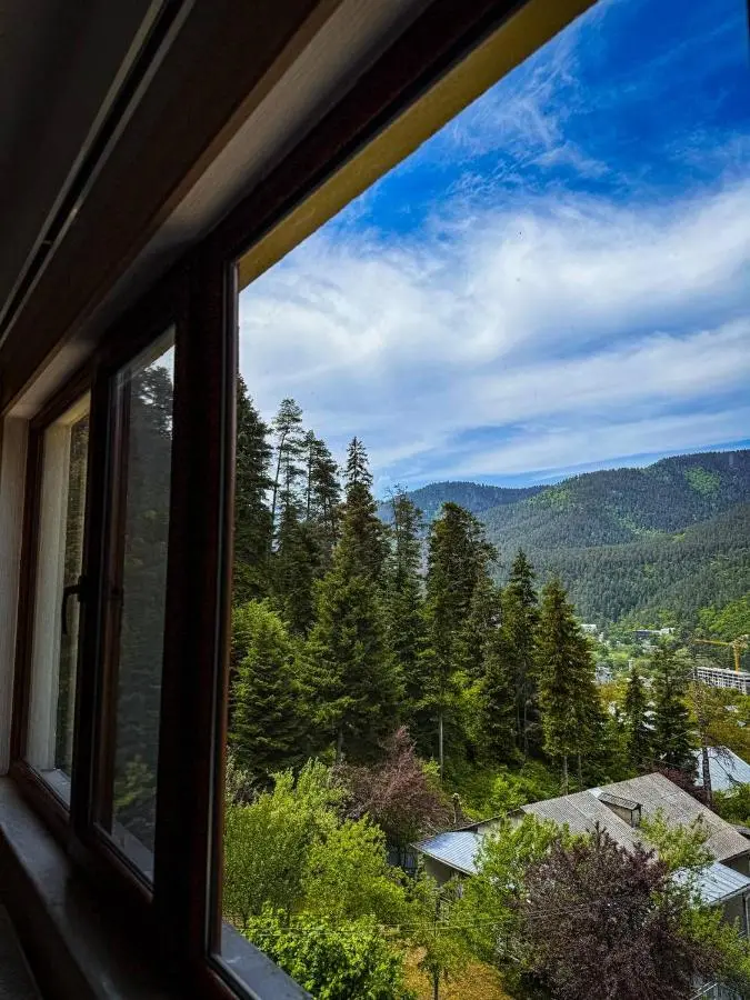 Hotel forest echo