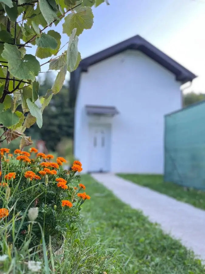 Apartman Elma