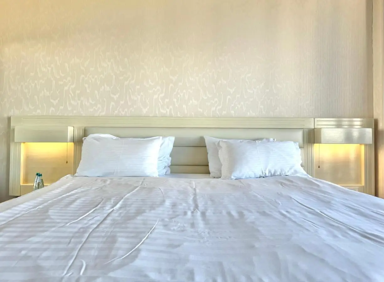 Full Comfort Apartment at Chavchavadze