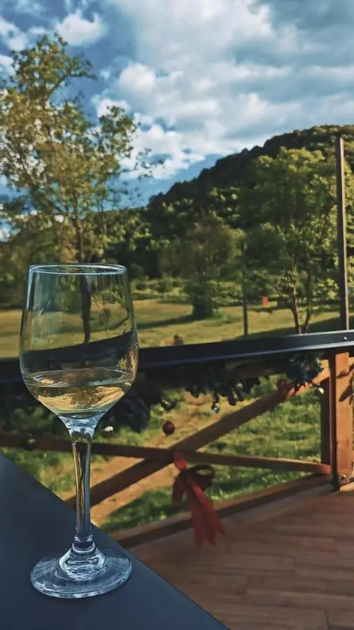 Villa Paradise Bjelašnica Luxury Chalet with Mountain View