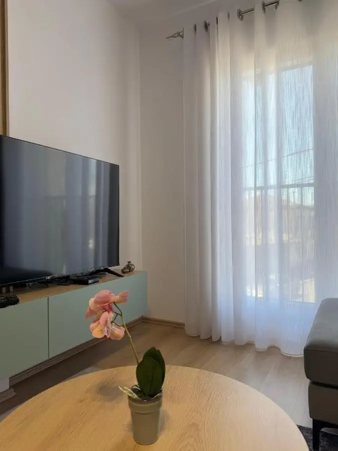 Apartment in City Center