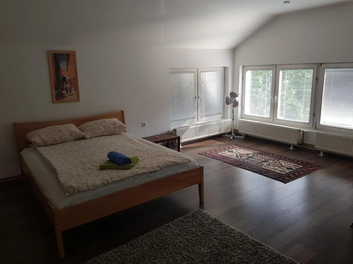 Vinac guest house